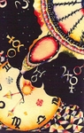 Secret Life of the Universe  © Rowan Taliesin 1986