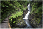 Glenariff Forest Park (IMG0540)