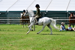 SBM_07786