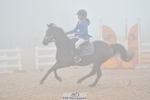 Cls 1 Pony Intro 70cm portfolio