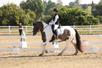 SBM_002799