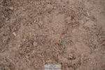 240713A-131224-00719