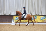 SBM_002332