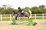 SBM_005631