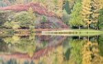 Reflections in Trentabank Reservoir (4)