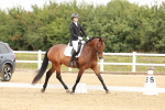 SBM_009384