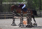 BPP_4658