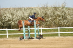SBM_002731