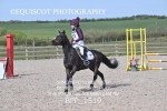 BPP_1519