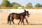 SBM_18336