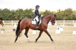 SBM_005604