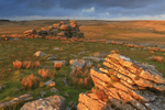 Leeden Tor at Sunset