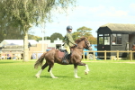 SBM_42834