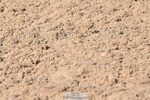 240509A-094702-00665