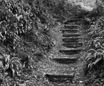 The Cotswold Way - 2009 portfolio