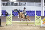 SBM_003961