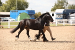 SBM_04550