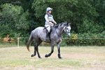 WJ5_0343