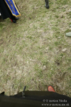 PtP 180218 974