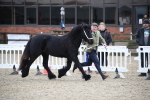 SBM_003997