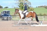 BPP_8351