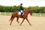 Class 18 - Novice 6 portfolio