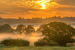 z3211 Misty Sunrise over Ashey