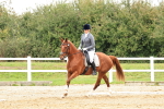 SBM_001341