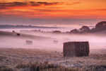 z3487 Morning Mists on Brading Down