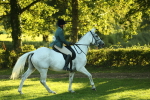 SBM_56403