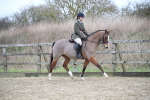SBM_004786