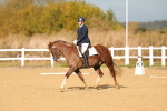 SBM_009285