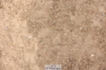 240714A-112102-01922