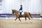 SBM_004439