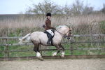 SBM_007205