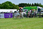 SBM_07799