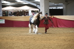 SBM_05647