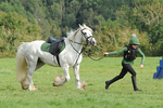 PPACP_0509