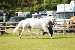 SBM_01625