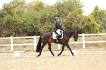SBM_003742