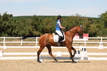 SBM_002874