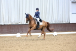 Class 21 - FEI PSG portfolio