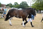 WJ6_8080