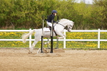 SBM_003647