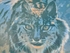 Iberian Lynx - El Lince Ibérico