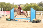 SBM_007453