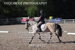 BPP_8772