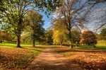 Autumn at Cockington