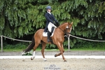 Rider 320 to 329 portfolio