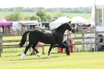 SBM_02231